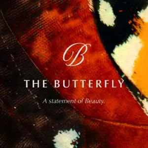 The Butterfly Madinet Masr